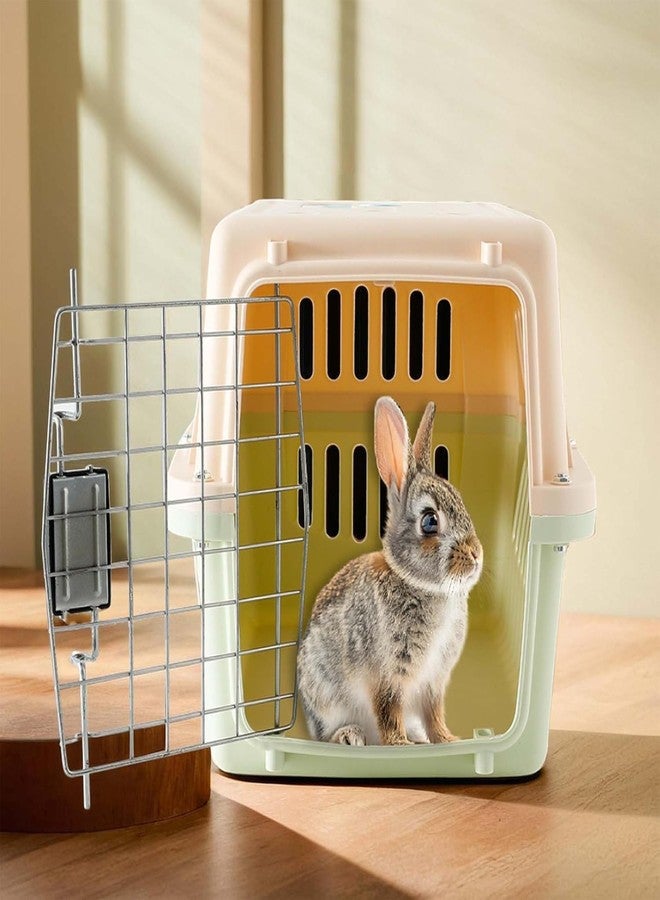 Homestic 48x31x31 CM Strong Metal Heavy Duty Cat & Dog Cage for Large Dogs | Dog Crate, Kennel & Rabbit House/Shelter | Plastic Portable Pet Travel Carrier Cage | New Green - Image 2